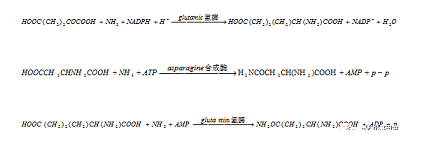 ��Ч�x�ӽ��Q��֬�S��ȫ�����|A2/OؼMBR��BBR��ˇ���x����Ԕ��!