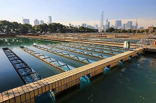 ��Ч���w�W(w��ng)�����ϏS�Ҷ̳�������ˇ��(qi��ng)�������о��M(j��n)չ