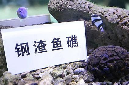 ����5A���ӺY�S�ҡ���(hu��)��������F�S�����Uˮ���ŷţ�������B(y��ng)�~(y��)