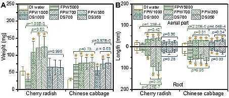 �h(hu��n)����ˮñ���a(ch��n)�S(ch��ng)�ҷ����(q��)��(d��ng)���B͸̎���(y��)�r���_(k��i)�ɏUˮ�����ڹ��