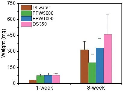 �h(hu��n)����ˮñ���a(ch��n)�S(ch��ng)�ҷ����(q��)��(d��ng)���B͸̎���(y��)�r���_(k��i)�ɏUˮ�����ڹ��