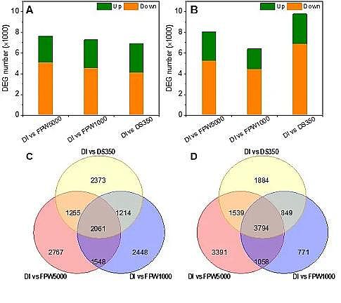 �h(hu��n)����ˮñ���a(ch��n)�S(ch��ng)�ҷ����(q��)��(d��ng)���B͸̎���(y��)�r���_(k��i)�ɏUˮ�����ڹ��