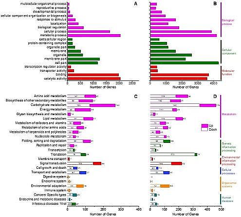 �h(hu��n)����ˮñ���a(ch��n)�S(ch��ng)�ҷ����(q��)��(d��ng)���B͸̎���(y��)�r���_(k��i)�ɏUˮ�����ڹ��