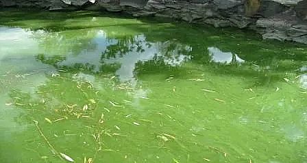 ����ˮ̎��ˎ���ͺ�̼Դ���a�S��ʲô��ˮ�w���I�B��?Σ������Щ?��η���?