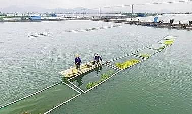 �¿�Aʽ�Ȼ��X�S���P��ˮ�a�Bֳ�I�Uˮ��̎��