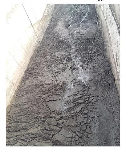 新式蜂窩斜管填料廠家污水廠的基本理論