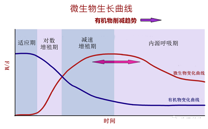 新式蜂窩斜管填料廠家污水廠的基本理論