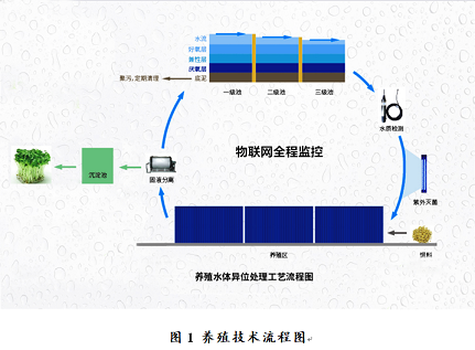 優良立體網狀填料生產廠家“集裝箱+生態池塘”集約養殖與尾水高效處理技術
