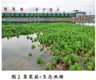 優良立體網狀填料生產廠家“集裝箱+生態池塘”集約養殖與尾水高效處理技術