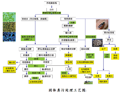 優良立體網狀填料生產廠家“集裝箱+生態池塘”集約養殖與尾水高效處理技術