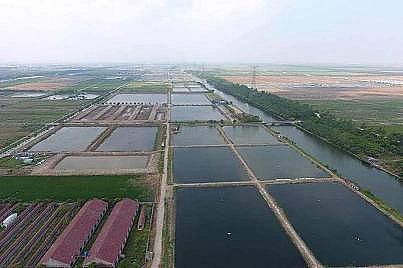 新式立體彈性填料廠家生態(tài)套養(yǎng),尾水治理,預(yù)警防病…余姚探索水產(chǎn)養(yǎng)殖綠色健康之路