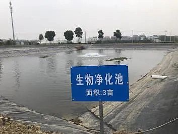 新式立體彈性填料廠家生態(tài)套養(yǎng),尾水治理,預(yù)警防病…余姚探索水產(chǎn)養(yǎng)殖綠色健康之路