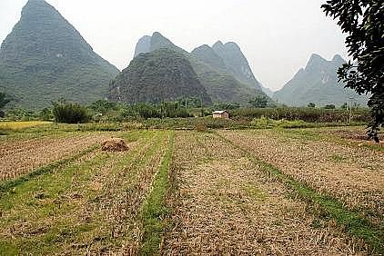 纖維球?yàn)V料25mm廠家農(nóng)村水環(huán)境綜合治理