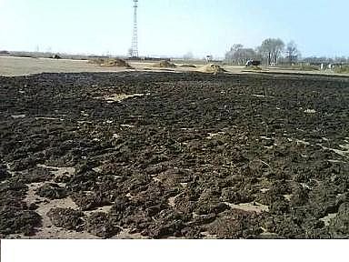 ��Ҏ�����ʯ�V�����a�S��ˮ�a�Bֳ�I�����لt���_��!�{ˮ�졢����졢����졢���׸ߣ�������ÿ족!