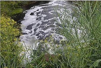 2021年堿式氯化鋁生產廠家“收多少虧多少!”1升廢礦物油污染100萬升水,長江正遭遇油污水“流動污染”威脅,如何破解