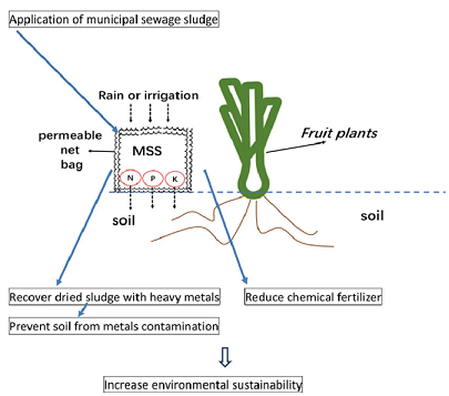 新式稀土瓷砂濾料生產(chǎn)廠家一種不用擔(dān)心重金屬污染的污泥農(nóng)用技術(shù)