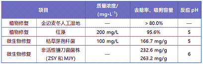 2021年活性炭濾料廠家含鉛廢水處理技術(shù)研究進(jìn)展