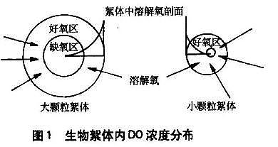 環(huán)保水處理藥劑復合碳源廠家污水處理技術之短程硝化反硝化與同步硝化反硝化的區(qū)別