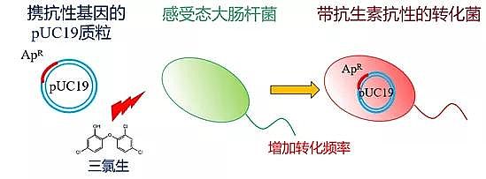 固體消毒劑氯片生產(chǎn)廠家新冠期間過(guò)渡消毒可能會(huì)加速超級(jí)細(xì)菌的傳播