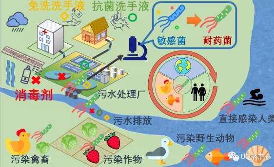 固體消毒劑氯片生產(chǎn)廠家新冠期間過(guò)渡消毒可能會(huì)加速超級(jí)細(xì)菌的傳播