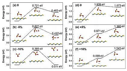 高品相13X分子篩生產廠家廣東工業大學Environ. Sci. Nano: MoS2納米花壓電活化過一硫酸鹽促進水中有機污染物降解