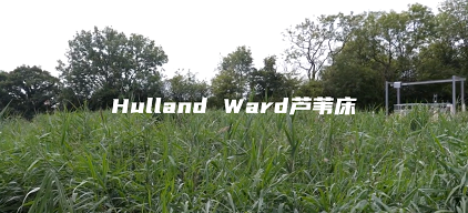 ���ƾۺ��Ȼ��X�FPAFC���a�S�Ҵ�����һ����ˮ�S�ą�����ˇ