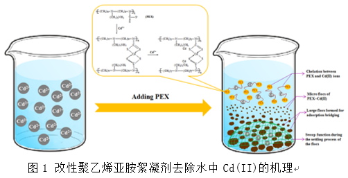 2021����ˮñ�S�������ϳ�����̎���ؽ��ُUˮ����ȡ���о��Mչ