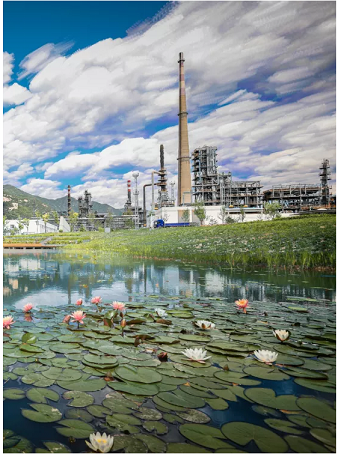 ��ʽ���������V�����a�S����ɽʯ����ˮ�����b��׌���ܺȵ���ˮ���Ă��f׃�ɬF��