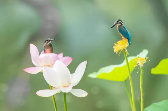 ��ʽ���������V�����a�S����ɽʯ����ˮ�����b��׌���ܺȵ���ˮ���Ă��f׃�ɬF��