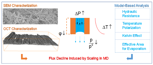 ��ʽϡ����ɰ�V�ϏS�Ұl(f��)��Ĥ���sϵ���о��ɹ�