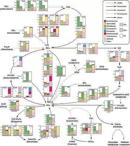 高品質(zhì)生物流化床填料MBBR廠家藻生物膜減少微生物源溶解性有機(jī)氮的排放