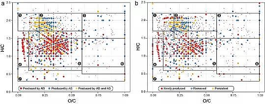 高品質(zhì)生物流化床填料MBBR廠家藻生物膜減少微生物源溶解性有機(jī)氮的排放