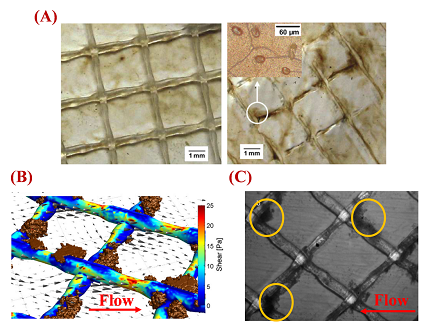 環保無煙煤濾料廠家水處理用卷式膜組件進水隔網的作用與性能優化
