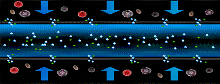 ��Ʒ�|(zh��)��Cб�����ϏS������12̖�����̫��90�����@Щ�Uˮ̎�����g(sh��)������̎!