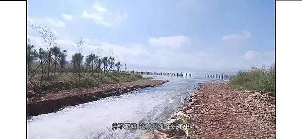 精選13X分子篩生產(chǎn)廠家環(huán)保“假專家”,開(kāi)“假藥方”,扮演“科研掮客”角色