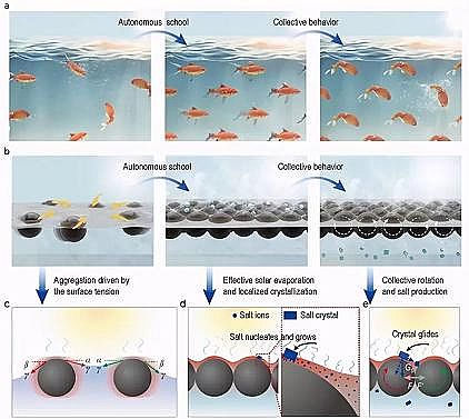精選煤質顆粒活性炭生產廠家受魚群效應啟發的太陽能水鹽分離器件