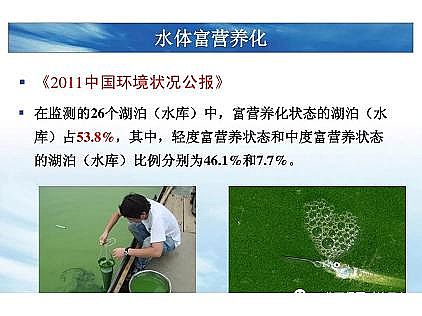 ���|�������͚��������a�S��һ���f͸������������ˇ