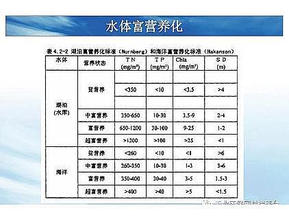 ���|�������͚��������a�S��һ���f͸������������ˇ