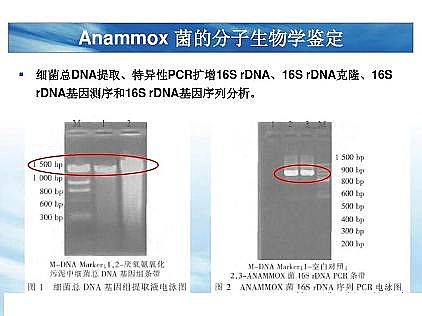 ���|�������͚��������a�S��һ���f͸������������ˇ