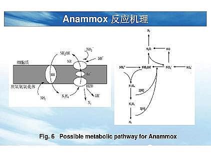 ���|�������͚��������a�S��һ���f͸������������ˇ