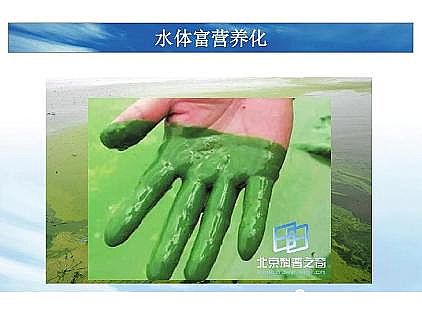 ���|�������͚��������a�S��һ���f͸������������ˇ