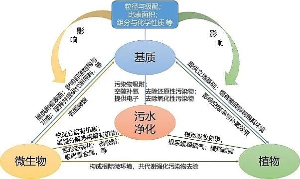 精選生物火山巖濾料廠家潛流人工濕地中基質在污水凈化中的作用機制與選擇原理