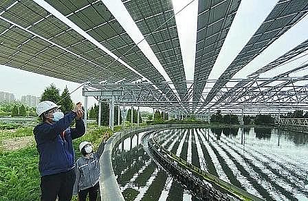 精選立體彈性填料廠家12.01億立方米!北京再生水年使用總量連續(xù)三年全國(guó)第一