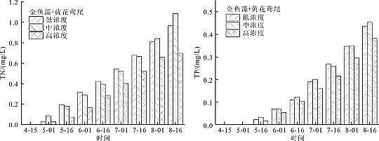 精選纖維球濾料廠家不同類型水生植物組合去除氮磷效果探索