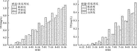 精選纖維球濾料廠家不同類型水生植物組合去除氮磷效果探索