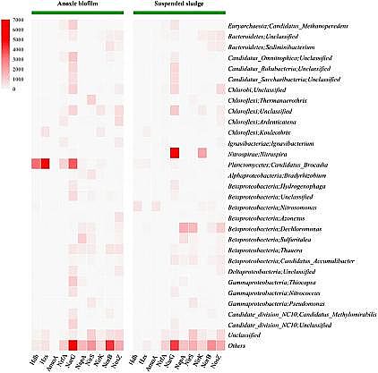 質量認證聚合氯化鋁PAC生產廠家基于實際污水A2/O工藝中懸浮污泥生物量減量實現缺氧生物膜中厭氧氨氧化菌的高度富集