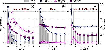 質量認證聚合氯化鋁PAC生產廠家基于實際污水A2/O工藝中懸浮污泥生物量減量實現缺氧生物膜中厭氧氨氧化菌的高度富集