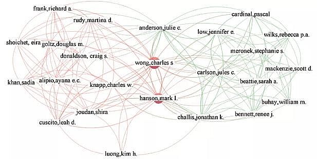 上等蜂窩斜管填料生產(chǎn)廠家基于文獻(xiàn)計(jì)量分析的農(nóng)村生活污水處理研究態(tài)勢解析