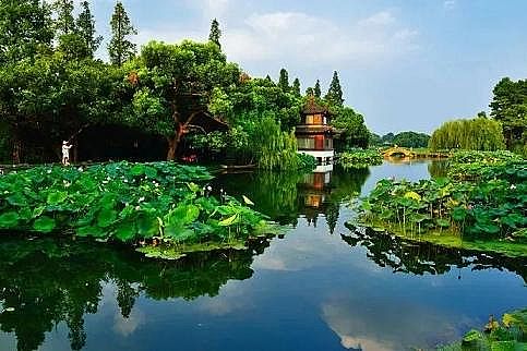 上等陰離子聚丙烯酰胺HPAM廠家濕生植物對富營養化水體修復研究