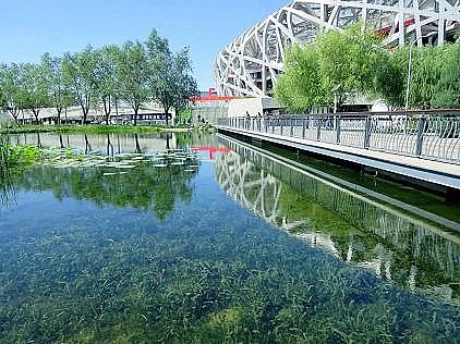 上等陰離子聚丙烯酰胺HPAM廠家濕生植物對富營養化水體修復研究